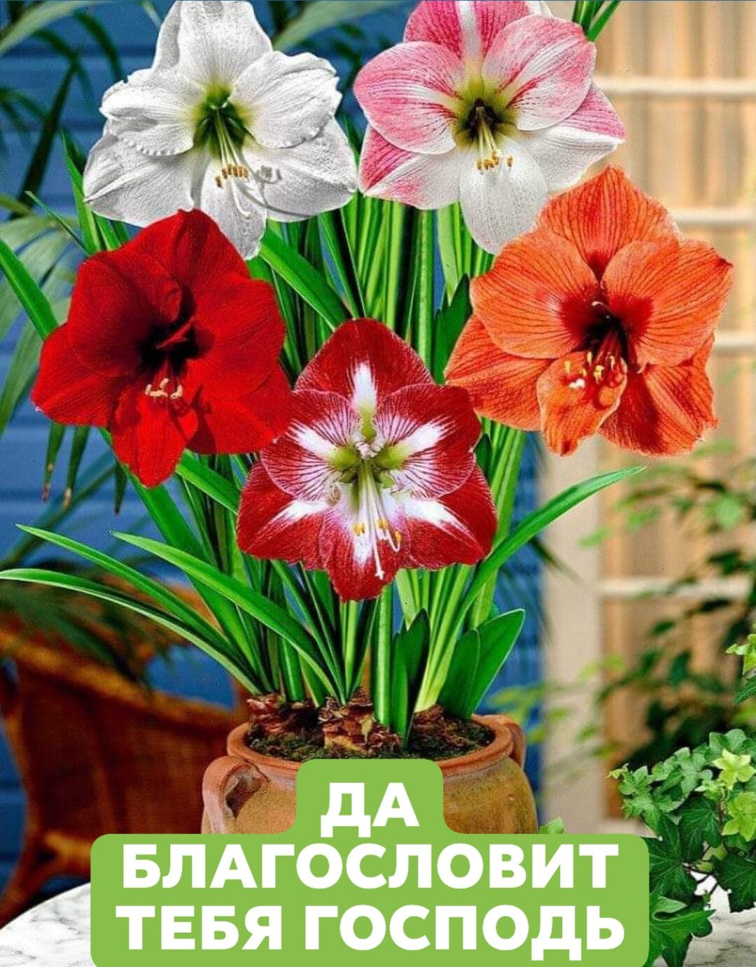 дА БПА ословит тввя господь Лё