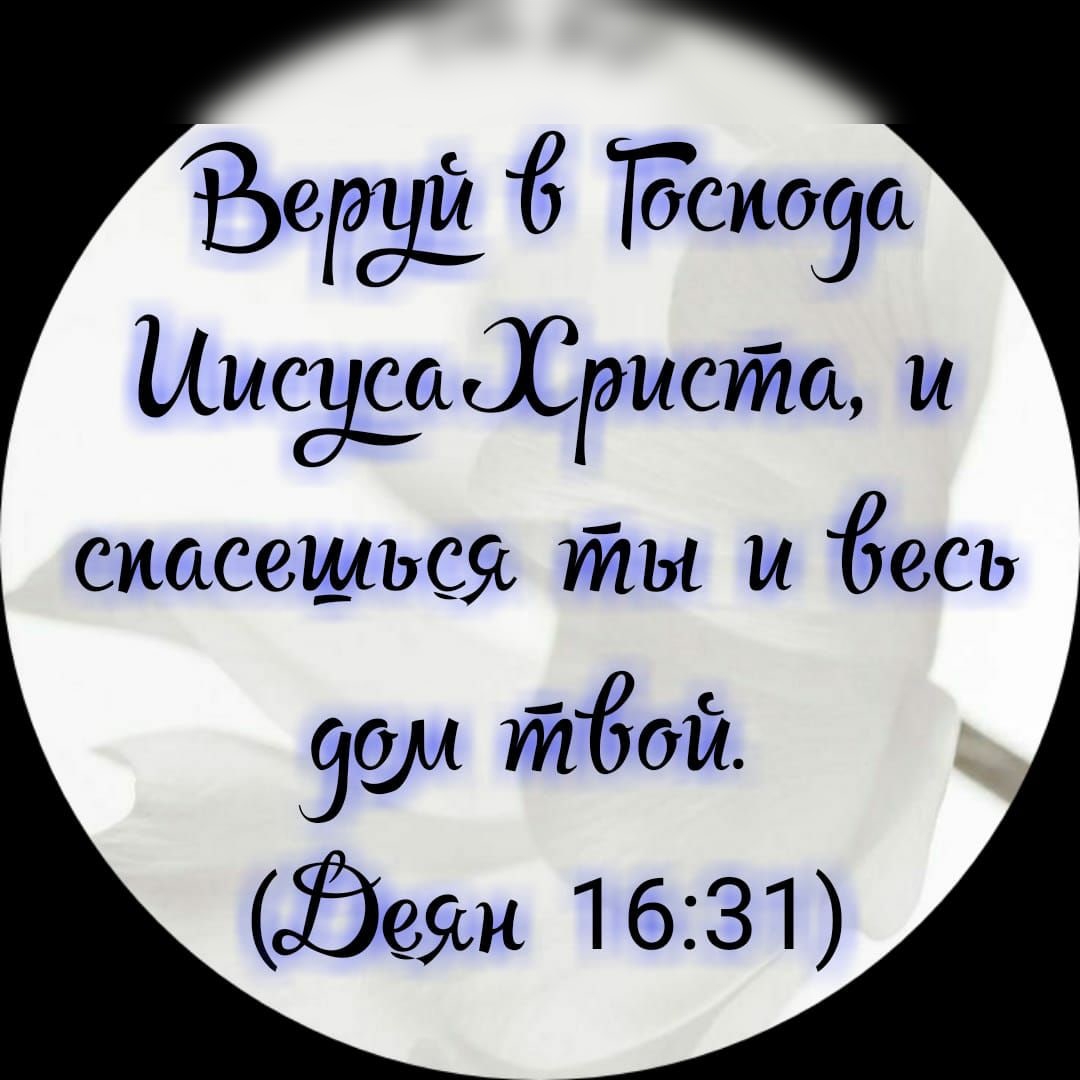 Байё Гдсидза Мисуіажіэистоь и смеешься ты и Ёесь зам 7716011 Заяц 1631