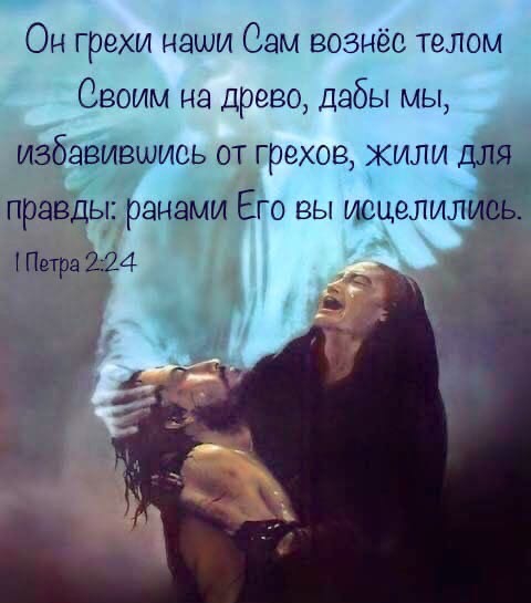 Он грехи наши Сэм вознёс телом Своим на древо дабы мы избавившись от грехов жилидля правды ранами Его вы июцелилиёё Петра 224