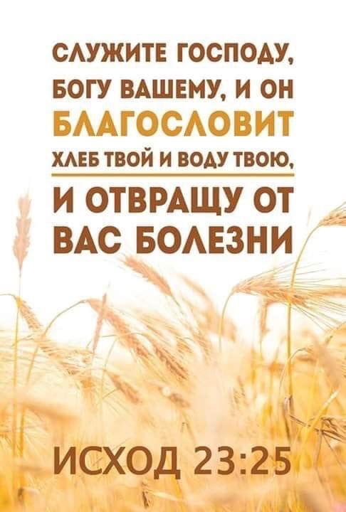 САУЖИТЕ господу БОГУ ВАШЕМУ и он БААГОСАОВИТ хмв твой и воду твою и ОТВРАЩУ от ВАСБОАЕЗНИ ___ ИСХЧД 23 2511 км ММУ