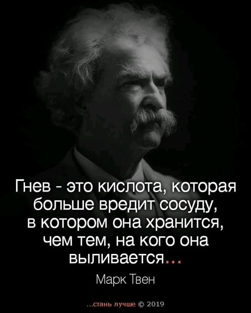 Гнев это кислота которая больше вредит сосуду в котором она хранится чем тем на кого она выливается Марк Твен стань лучше 2019