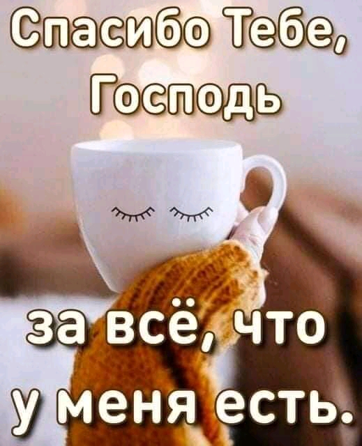 сёшіо 600 цъ