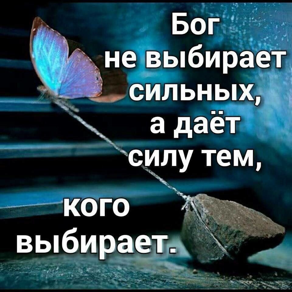Бог не выбирает сильных а даёт силу тем выбирает