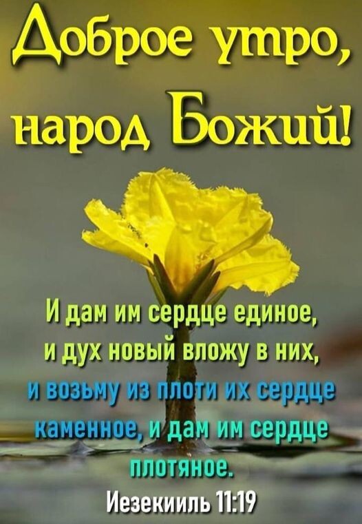 Доброе утро народ Божий И дам им сердце единое и дух новый впожу в них Ь гм ГГ Ё 111 _а и дайим сердце ппптяное Иезекииль 1119
