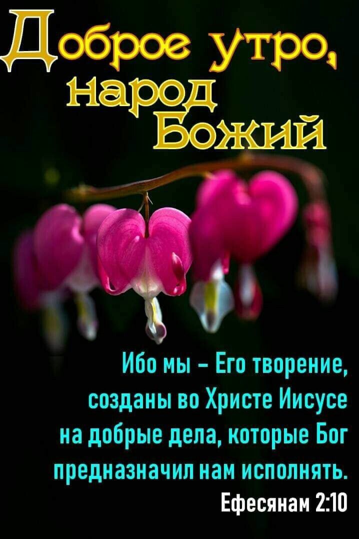 Ибо ны Его творение созданы во Христе Иисусе на добрые дела которые Бог предназначил нам исполнять Ефесянам 210