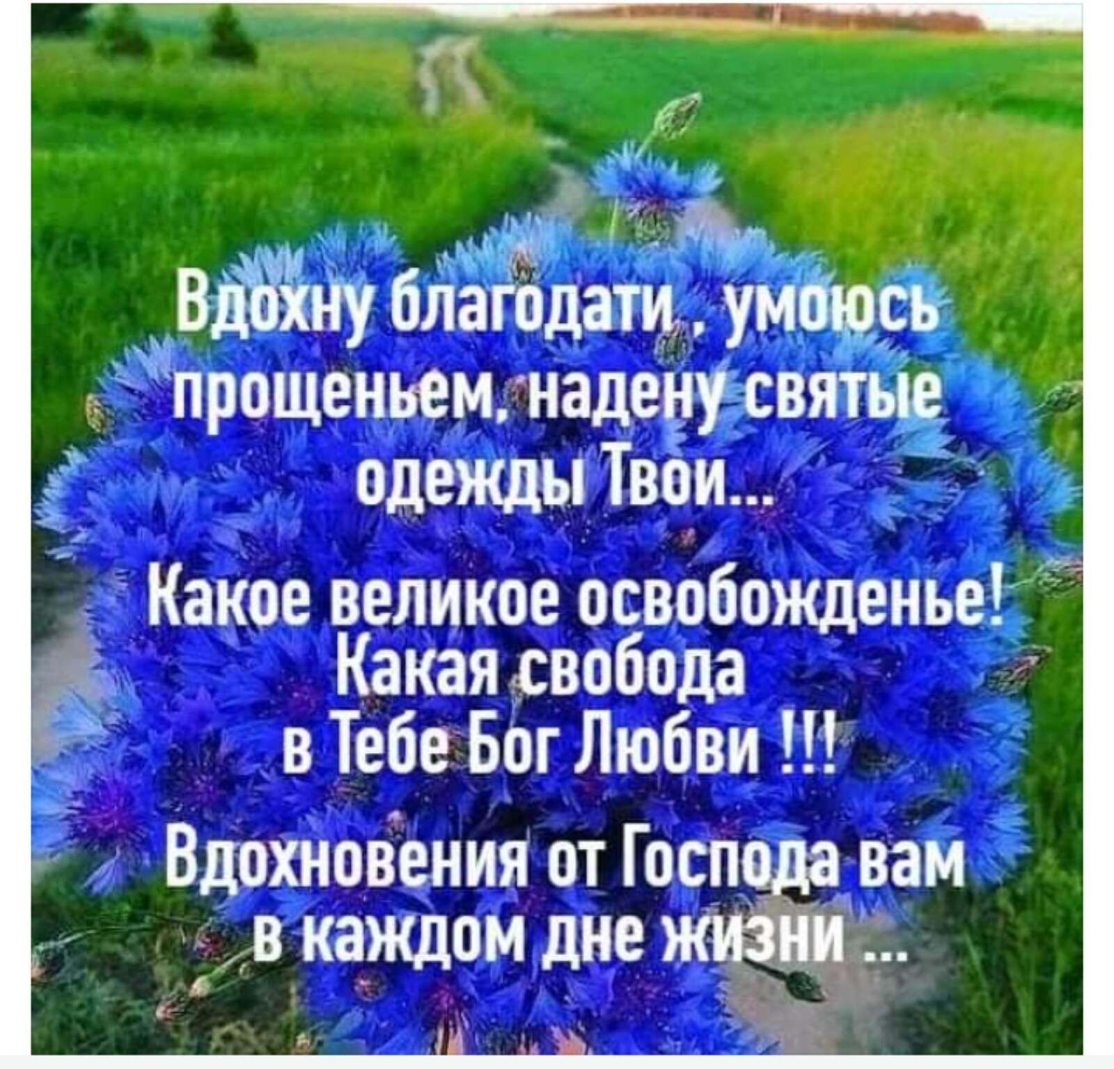 1 Вдохну благодащ умоюсь прошением надену святые одежды Твои г Какое великое освобожденье Какая свобода 8 Тебе Бог Любви