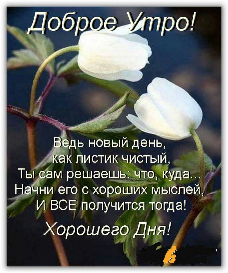 Ёдь новый день к листик чистый Ты ам решаешь что куда На ни его о хороших мыслей И ВСЕ получится тогда Хорошего Дня
