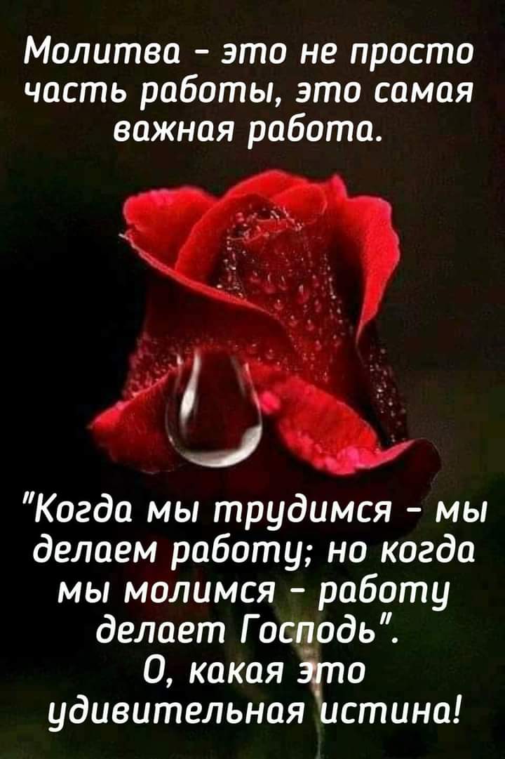 Молитва это не просто часть работы это самая важная работа Когда мы трудимся мы делаем работу но когда мы молимся работу делает Господь 0 какая а удивительная истина