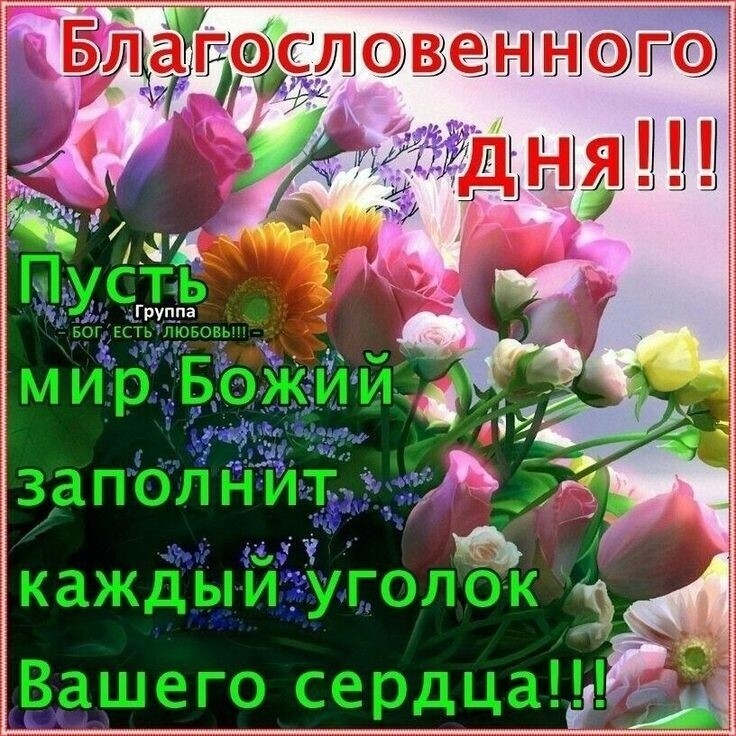 Буцалгодслшенншэю