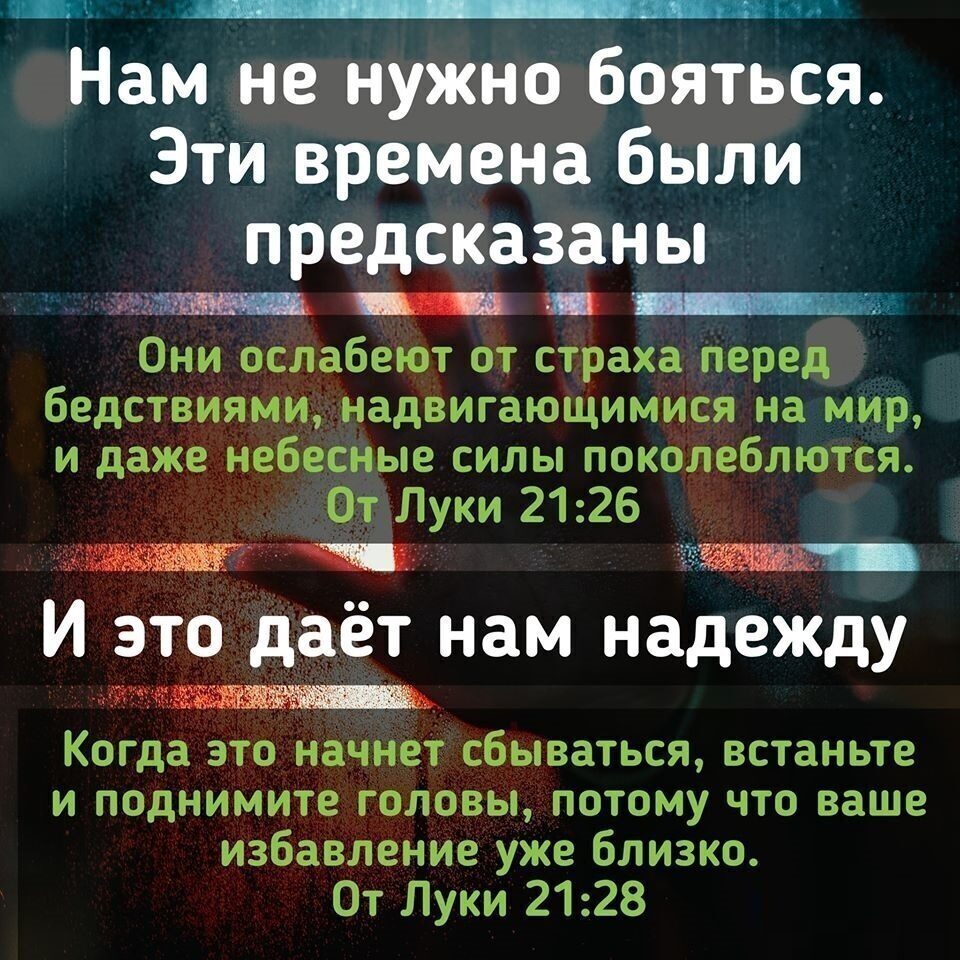 ПХ Нам не нужно бояться Эти времена были предсказаны ггжш _ _ Они ослабеют от страха перед бедствияминадвигаюЩимися на мир и даже небесные силы поколеблются От Луки 2126 ш И это дает нам надежду Когда это начнет сбываться встаньте и поднимите головы потому что ваше избавление уже близко От Луки 2128