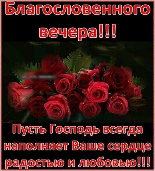 Блт впШЦЦ Готдь кеш ВПЁіШШЁ радэстью Щ ППП