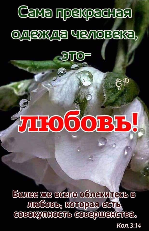 Сама прекрасная д