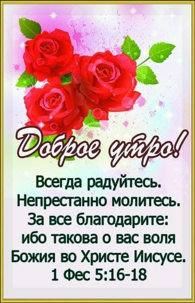ч а я Всегда радуйтесь Непресганно молитесь За все благодаРите ибо такова о вас воля Божия во Христе Иищсе 1 Фес 516 18