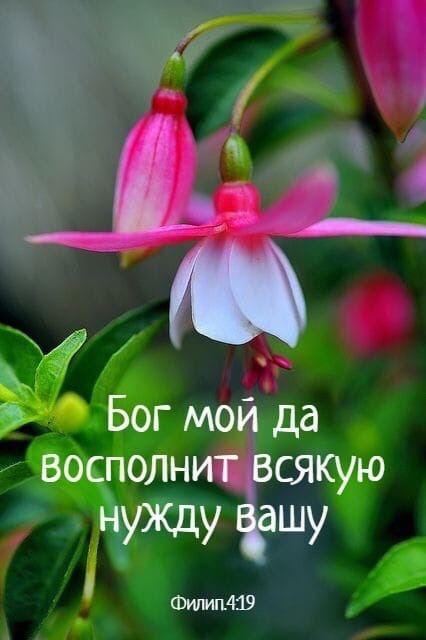О 5 Бог мой да восполн сякую нужщ ашу Фишп419