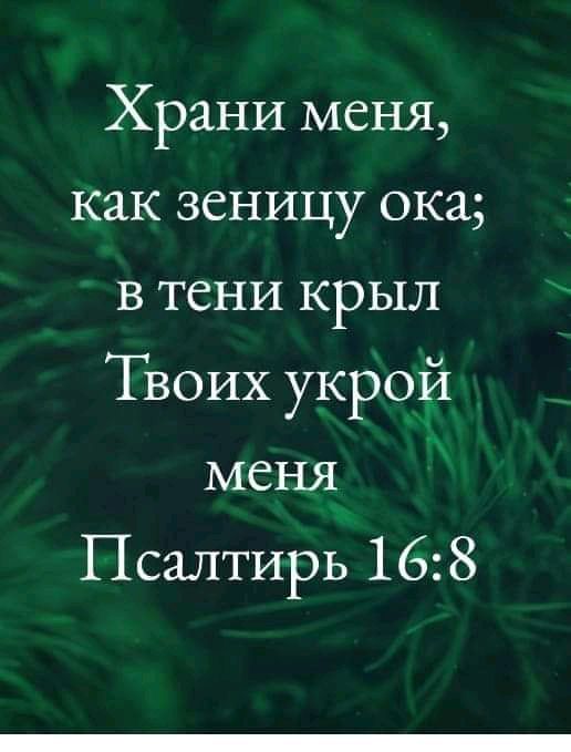 Храни меня как зеницу ока в тени крыл Твоих укрой меня Псалтирь 168