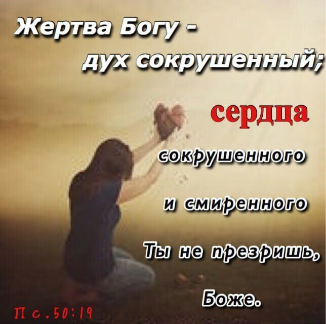 ЩЖ 7213 5 ГМТТ стадамиаттача ш С М ИдэЩННОЩФ