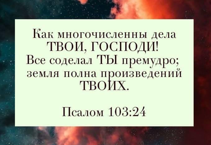 Как многочисленны Дела ТВОИ ГОСПОДИ Все соделал ТЫ премудро земля полна п онзведеннн ТВО Х Псалом 10324