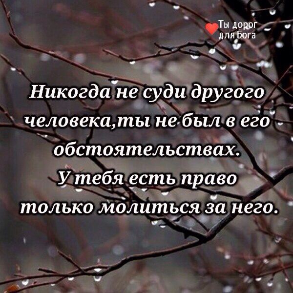 и Ты дорог длябода с ч _ НикогдаЁё судидругого_ человека ты не был в его обстоятельствах У тебя есть право только мдлиться за Него Ц
