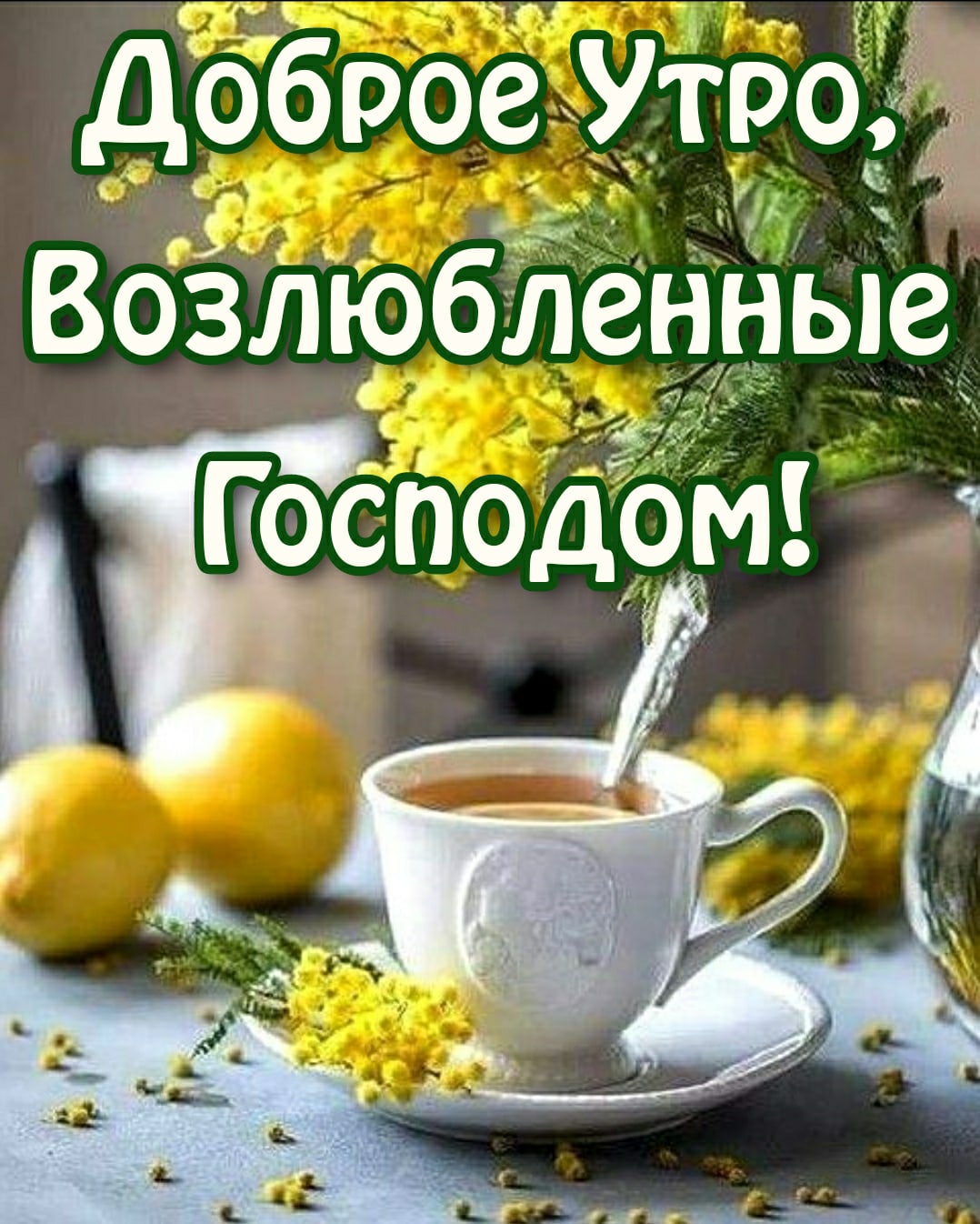 к Доброе Утро Возлюбленные Госпоцом