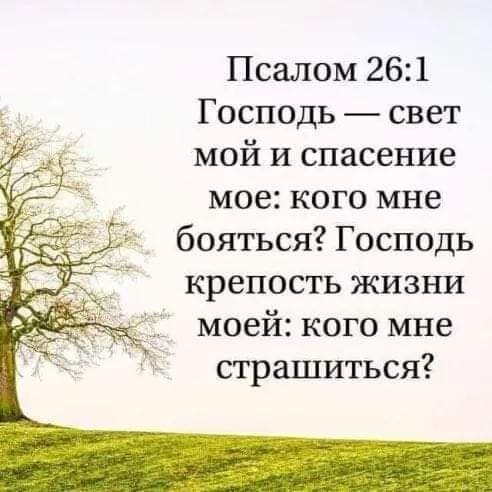 Псалом 261 Господь свет мой и спасение мое кого мне бояться Господь крепость жизни моей кого мне страшиться