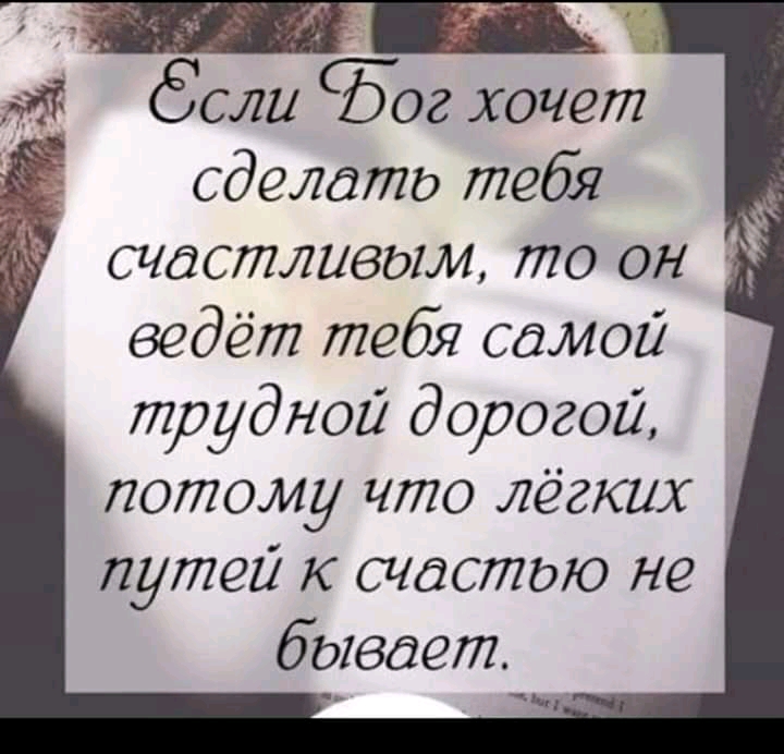 сделото тебя счастливым то он ведёт тебя самой трудной дорогой потому что лёгких _ путей к счостою не бывает