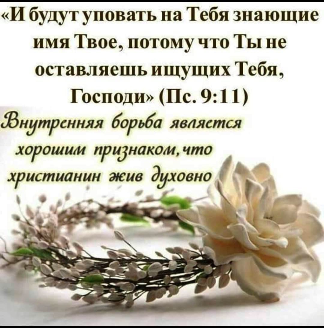 И будут уповать на Тебя знающие имя Твое потому что Ты не оставляешь ищущих Тебя Господи Пс 9 1 1 Знутрснняя борьба является хорошим признаком что христианин жив духовно