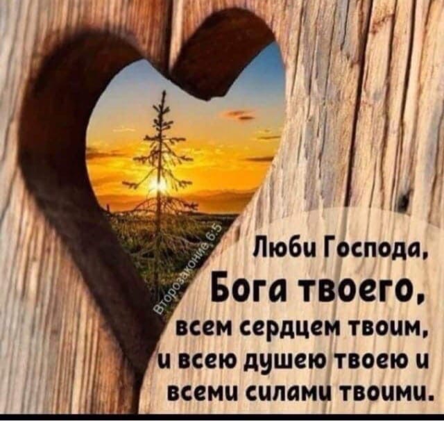 Люби Господа Бога твоего всем сердцем твоим всею душею твоею и всеми силами твоими