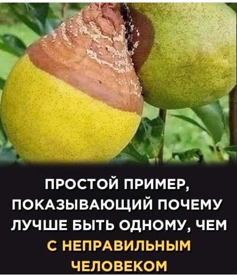 простой пример ПОКАЗЫВАЮЩИЙ почему лучше БЫТЬ одному чем с НЕПРАВИЛЬНЫМ человеком