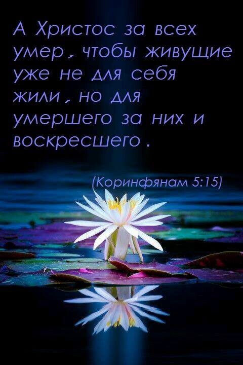 А Христос во всех умер чтобы живущие уже не ААЯ себя ЖИАИ но ААЯ умершего за них и воскресшего ___