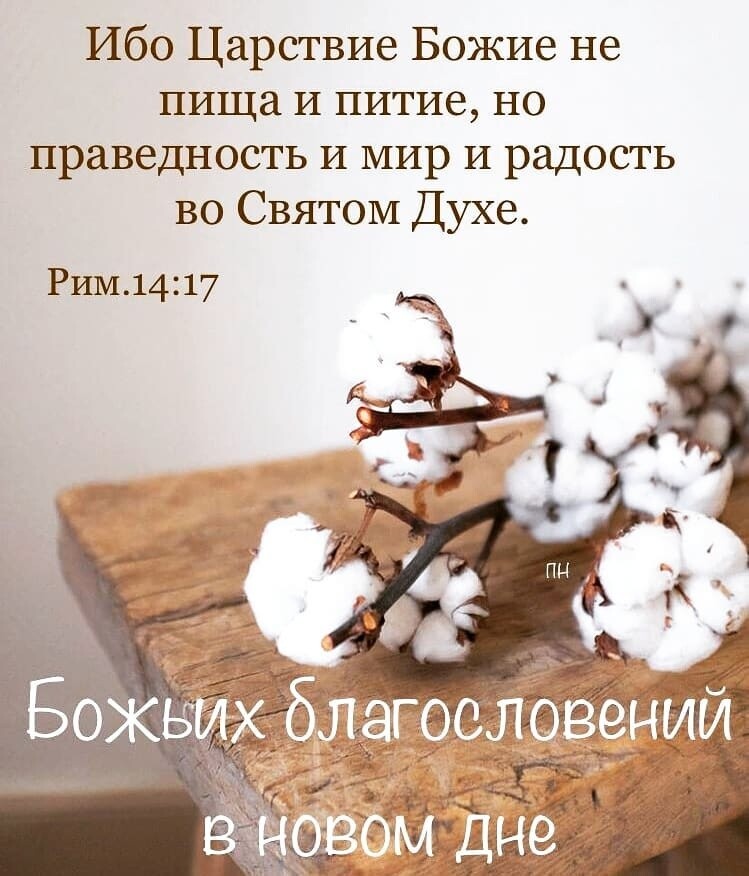 Ибо Царствие Божие не пища И питие но праведность И мир И радость во Святом Духе