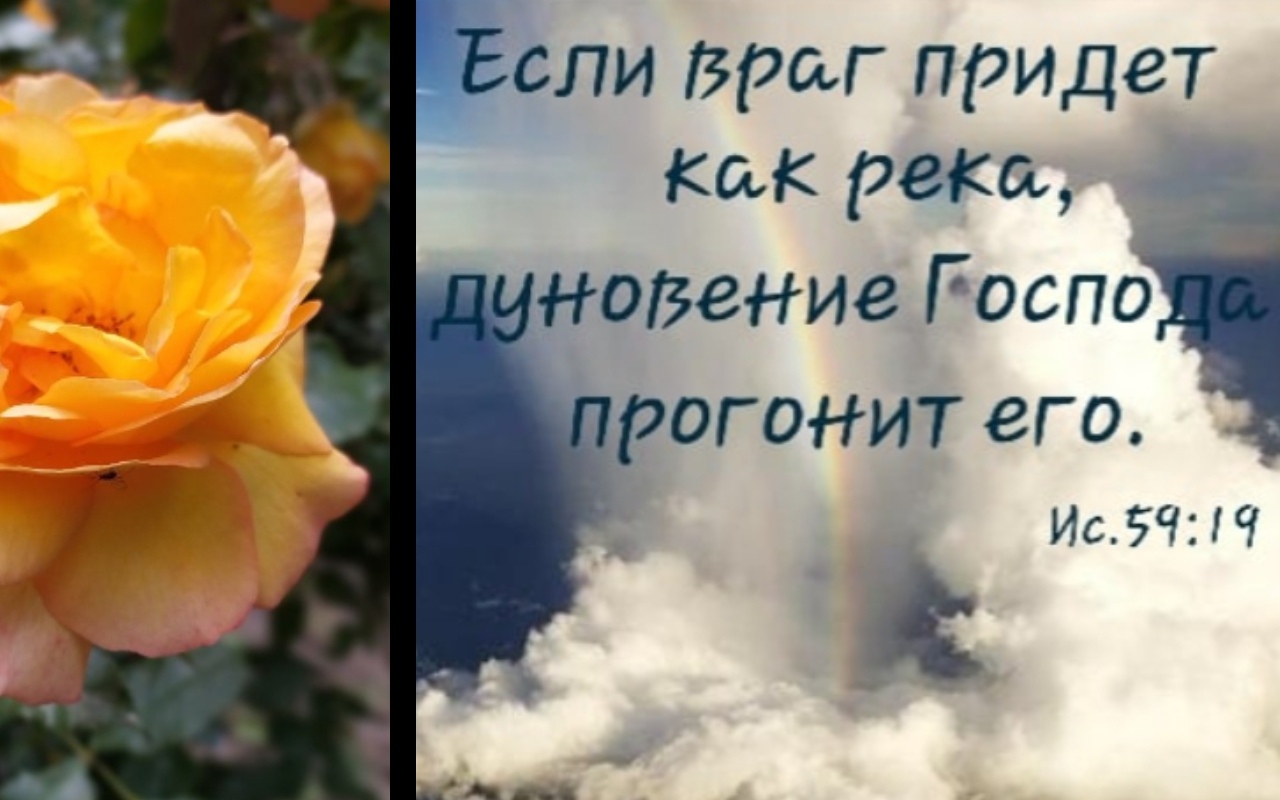 ОГОНИТ ВГО 592