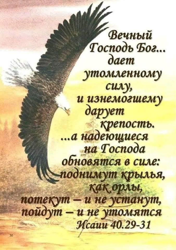 Вечный Господь Ъог _ дает утолшнному силу __ и изнемогшему дарует крепость а цадеющиеся на Тоспода _ тся 1ци402_9 31
