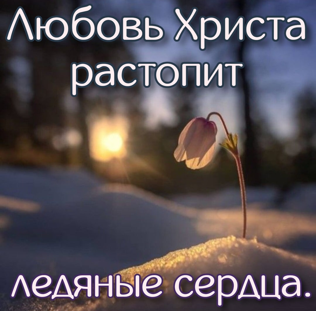 Аюбовь Хрисй растсэпит Аедяуныечсерша