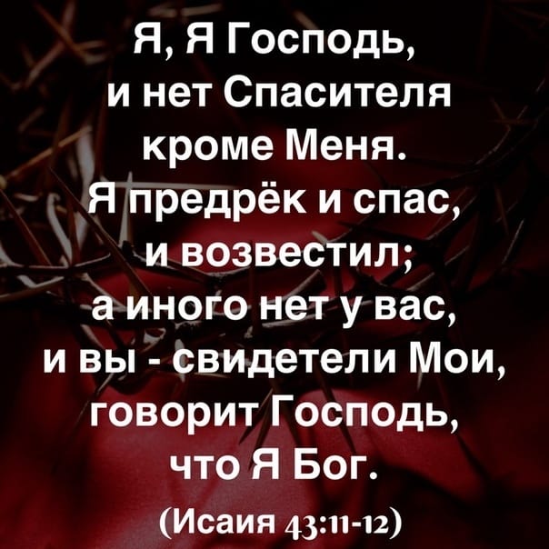 Я Я Господь и нет Спасителя кроме Меня Я предрёк и спас и возвеотил а иного нет у вас и вы свидетели Мои говорит Господь что Я Бог Исаия 4311 12
