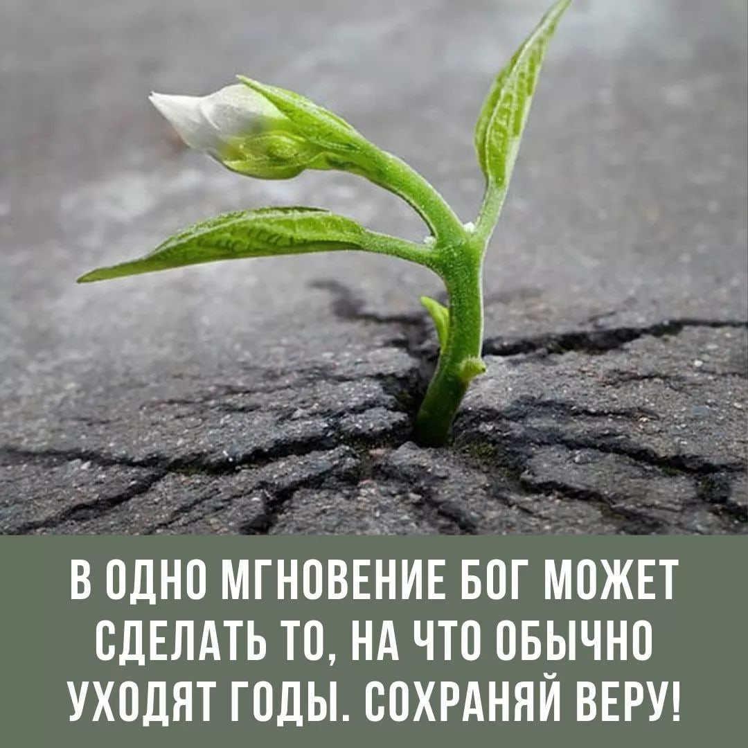 В одно МгНпвЁнив Баг можнт СДЕЛАТЬ то нд что овычно уходят годы сохрдняи ВЕРУ