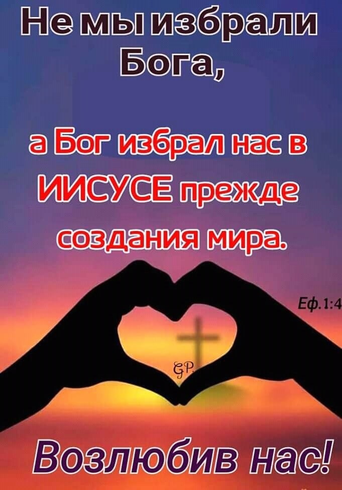 МЫ Д гад дві лаг
