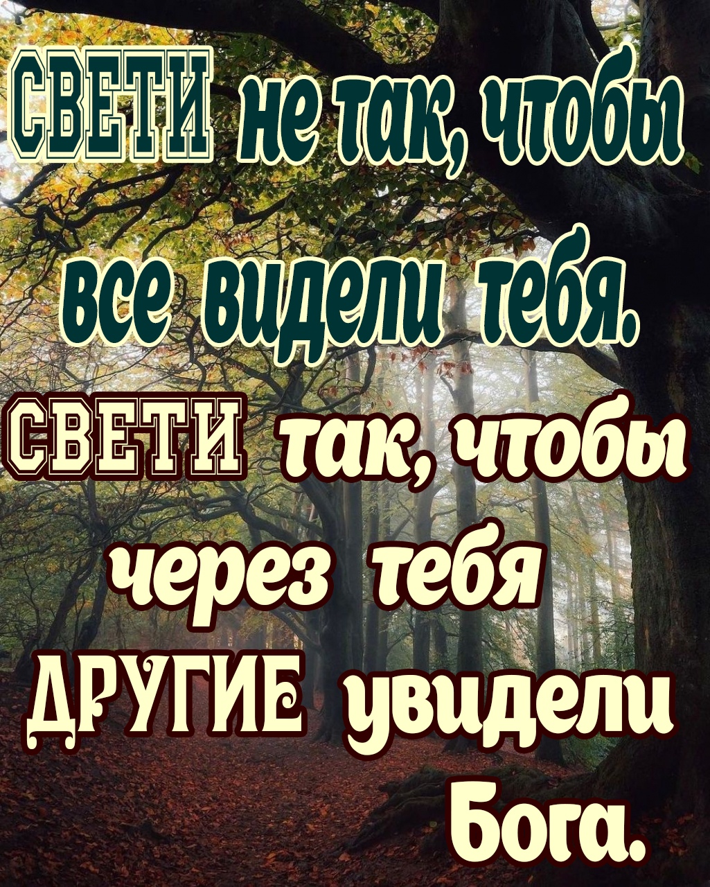 другив увидели Бош