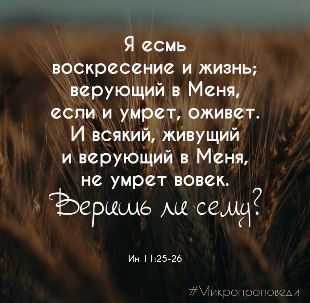 Я есмь воскресение и жизнь верующий 3 Меня если умрет оживет И всякий жИвущий и верующий 3 Меня не умрет вовек ершще села Ин 125 26 Микропооповещи