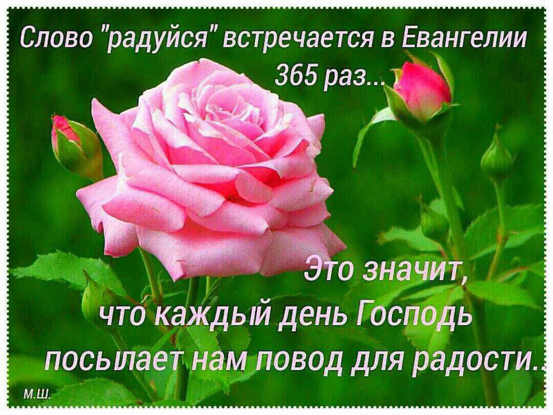 Слово радуйся встречается в Евангелии чтоіке и д дый день