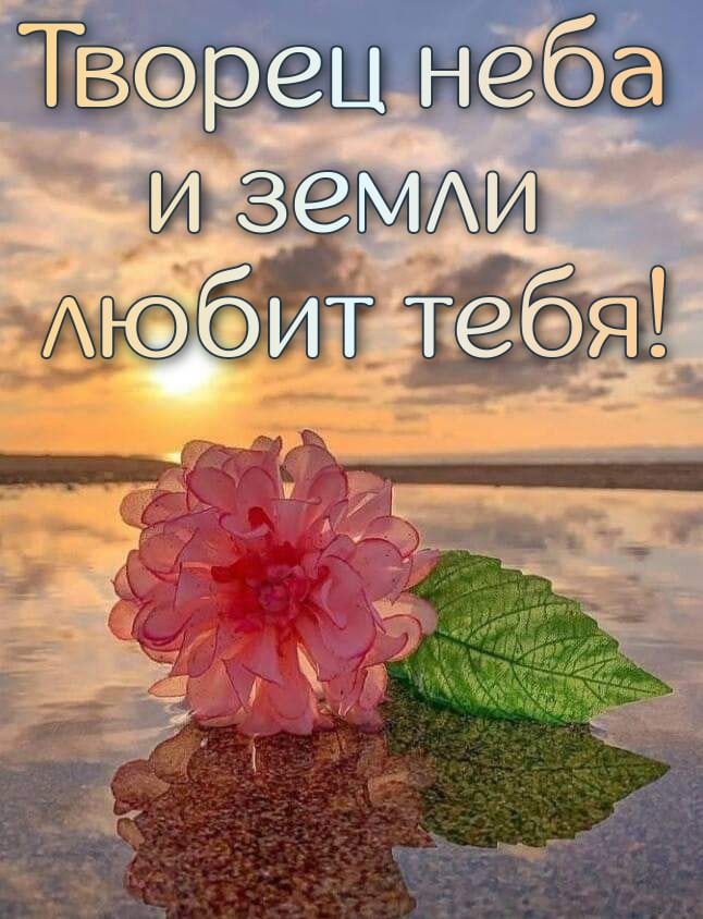 ГЮЗЗМЖЪ Аютебя