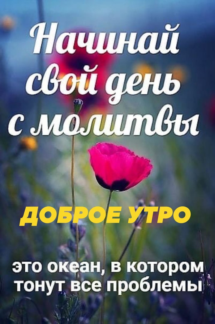 Ё доп Епро _ а это океан в котором тонут все проблемы