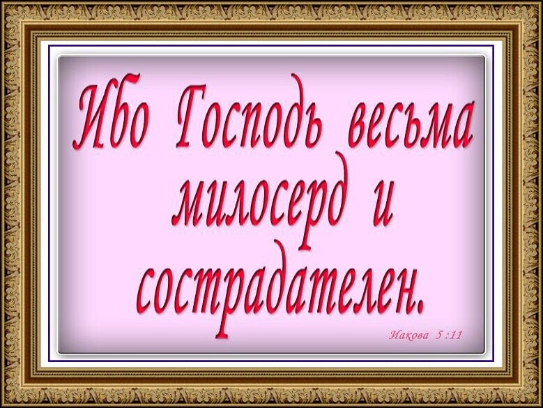 тм АМК1 Мими
