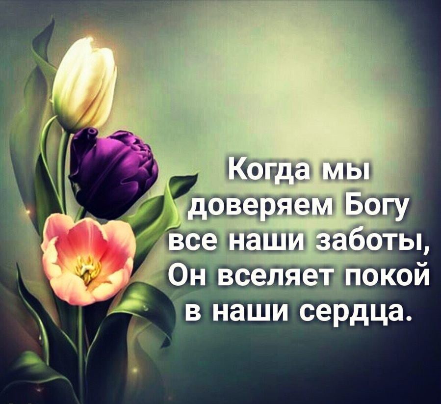 Факты п гащтдтч 4 0