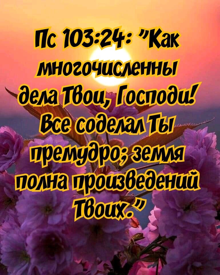 Пс 103 211 Как многочисленны