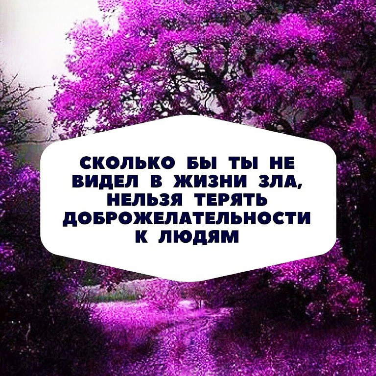 СКОЛЬКО БЫ ТЫ НЕ ВИДЕЛ В ЖИЗНИ ЗЛА НЕЛЬЗЯ ТЕРЯТЬ дОБРОЖЕЛАТЕЛЪНОСТИ К ЛЮДЯМ