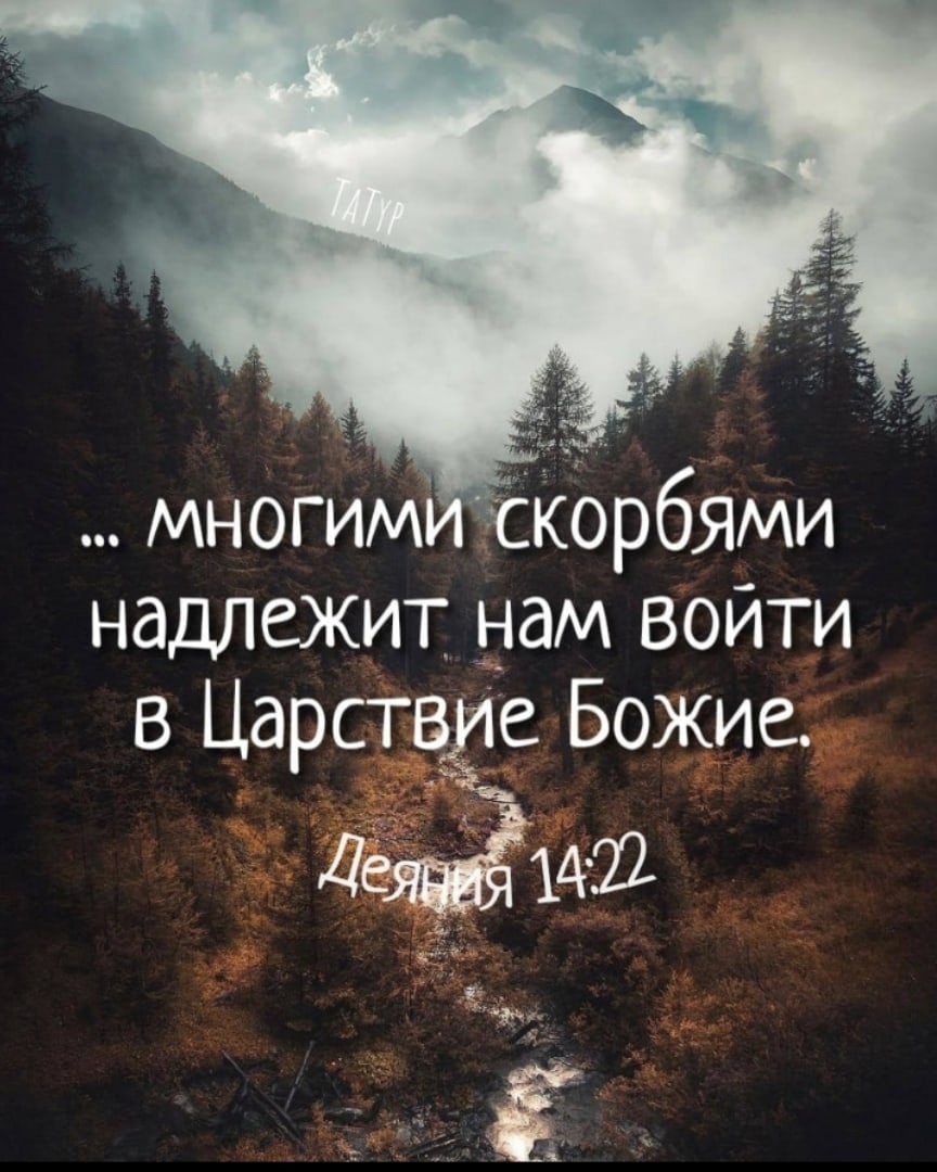 многим Кбрбями надлежит дам войти в Царсгёде Божие 14 12