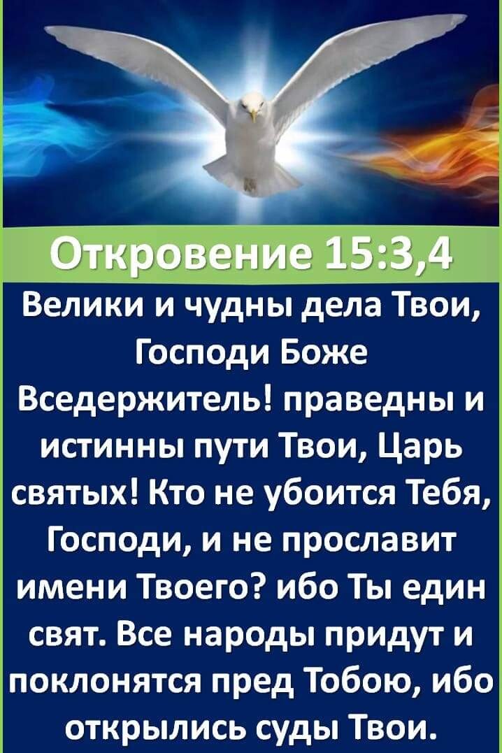 Откровение 15 34 Велики и чудны дела Твои Господи Боже Вседержитель праведны и истинны пути Твои Царь святых Кто не убоится Тебя Господи и не прославит имени Твоего ибо Ты един свят Все народы придут и поклонятся пред Тобою ибо открылись суды Твои