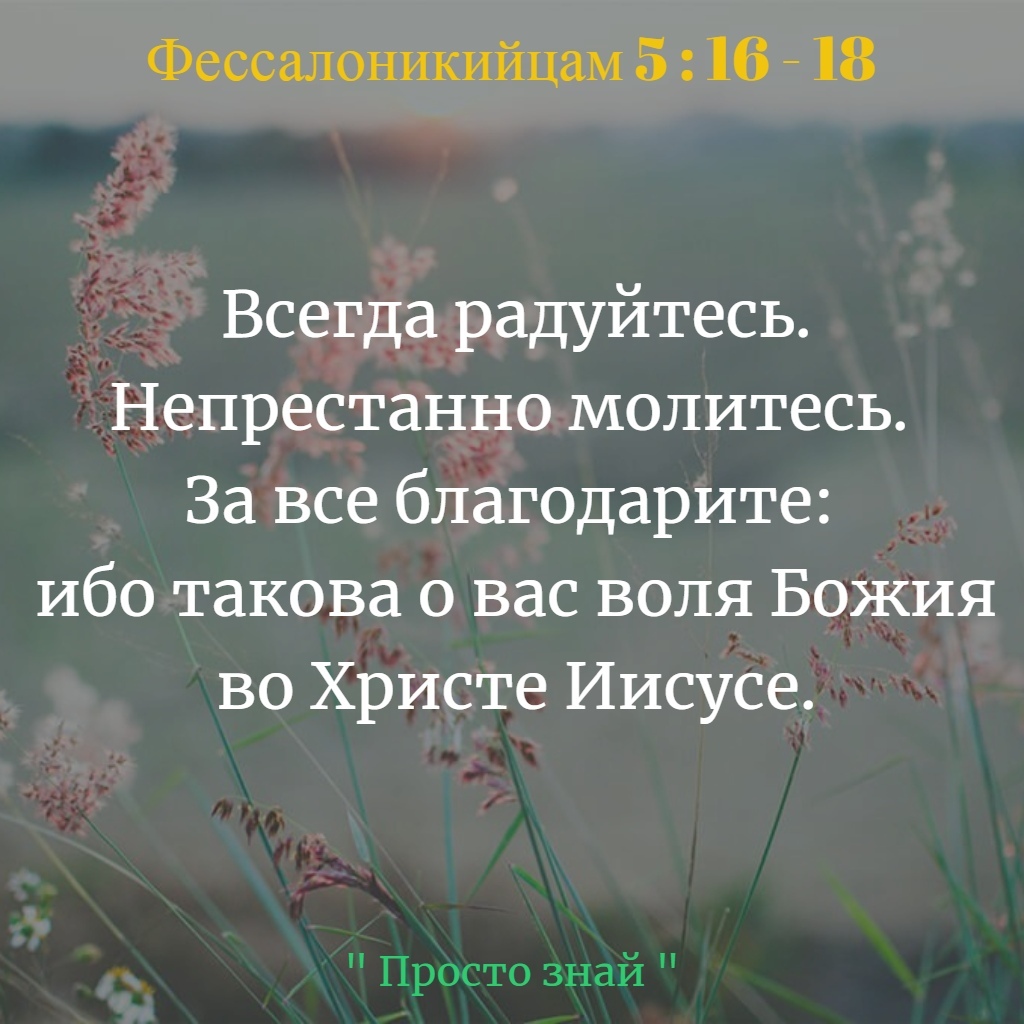 Фессалоникийцам 5 16 18 Всегда радуйтесь Непрестанно молитесь За все благодарите Ибо такова о вас воля Божия во Христе Иисусе Просто знаи