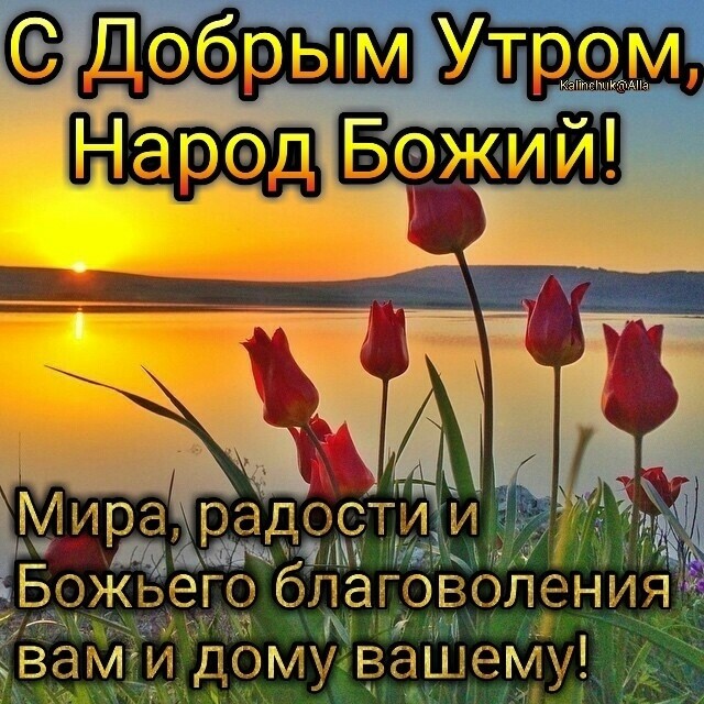 _ ДЩШМ эБожьего благоволе і Мира радостткііу