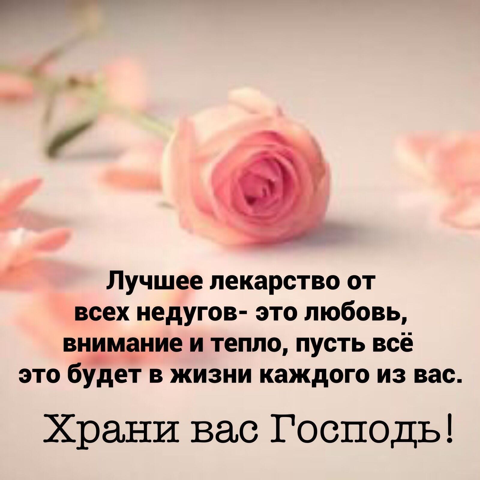 Лучшее лекарство от всех недугов это любовь внимание и тепло пусть всё это будет в жизни каждого из вас Храни вас Госпоць